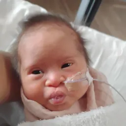 The Harrington Family