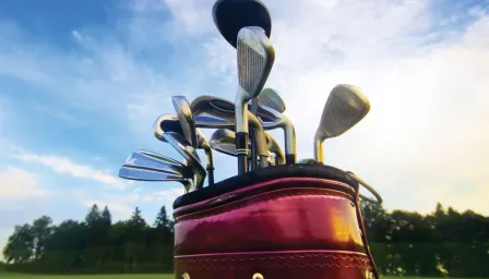 Golf clubs in a golf bag outside