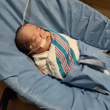 The Gouzoules  Family