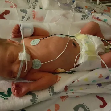 The Nardinger Family