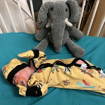 The Churchill Family