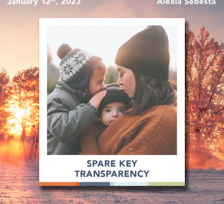 Spare Key Transparency Blog by Alexia